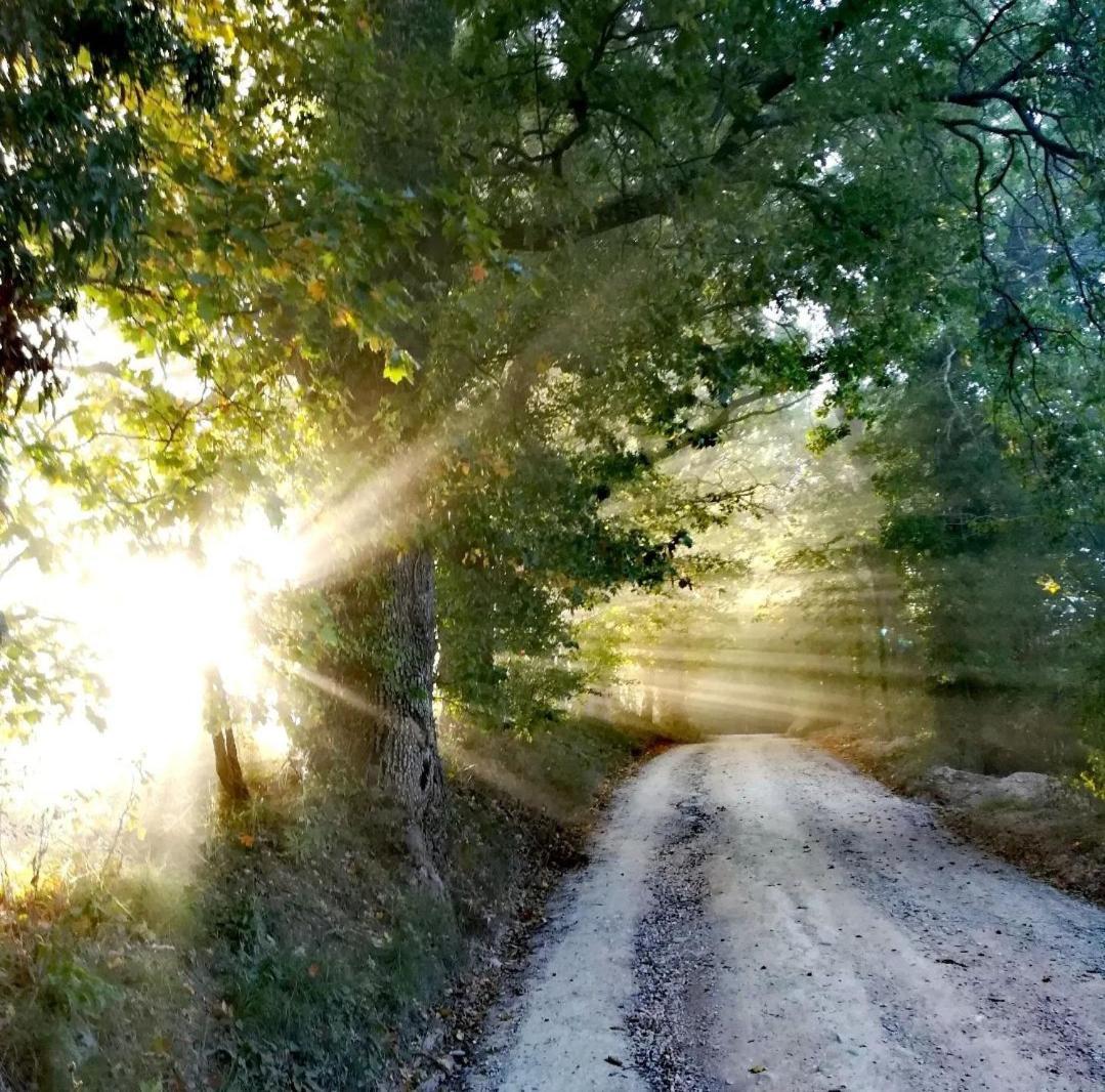 La Quercia Incantata Camerino Zewnętrze zdjęcie
